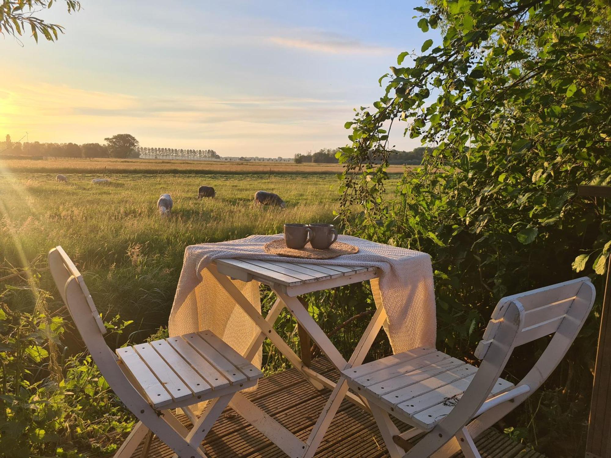 Schoonrewoerd Cherry Cottage المظهر الخارجي الصورة